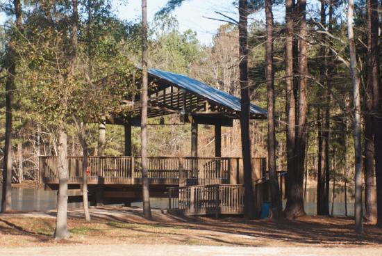 Carolina Bay Nature Preserve